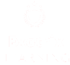 Software Development